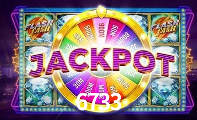 6733