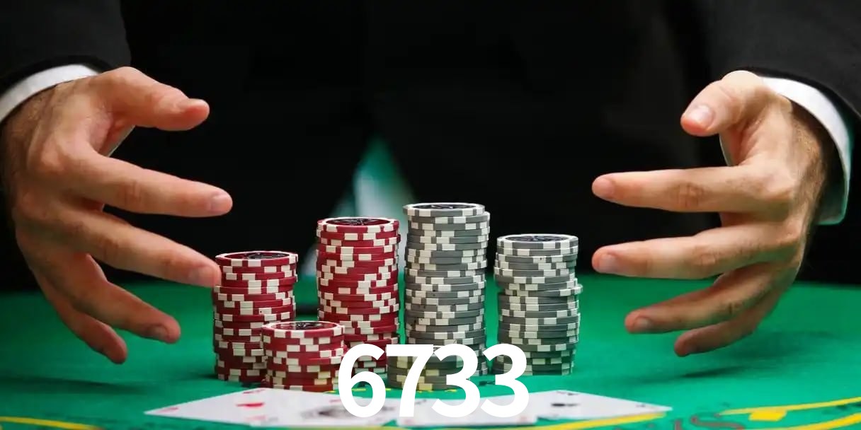 6733